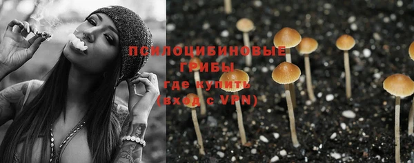 прущий лед Ладушкин